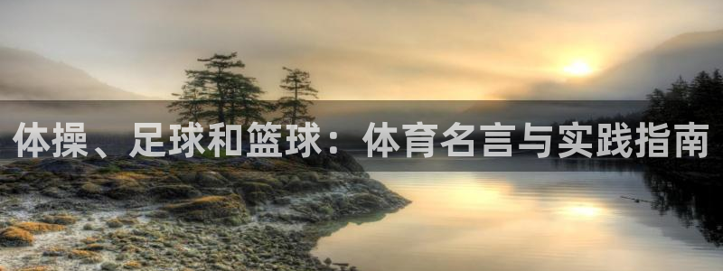 体操、足球和篮球：体育名言与实践指南
