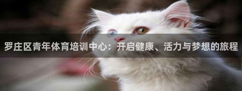 罗庄区青年体育培训中心：开启健康、活力与梦想的旅程
