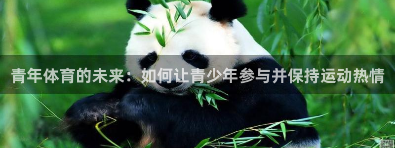 青年体育的未来：如何让青少年参与并保持运动热情