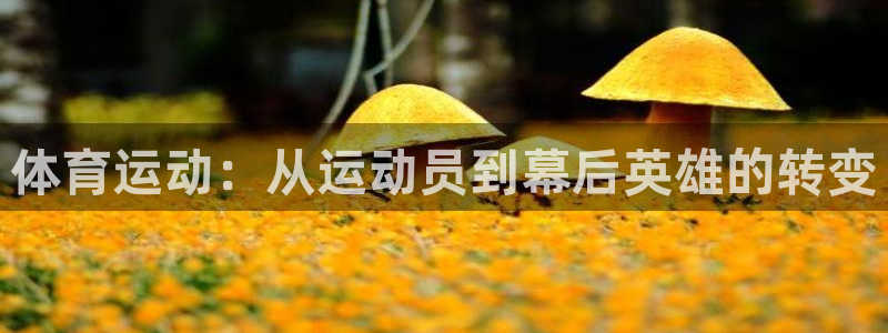 体育运动：从运动员到幕后英雄的转变