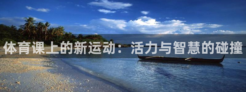 体育课上的新运动：活力与智慧的碰撞