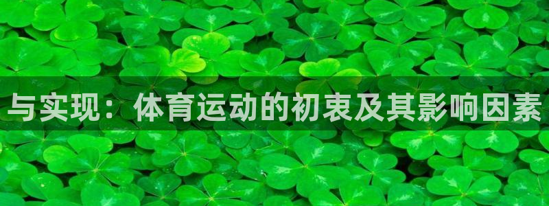 与实现：体育运动的初衷及其影响因素