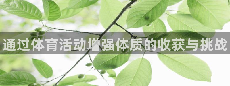 通过体育活动增强体质的收获与挑战