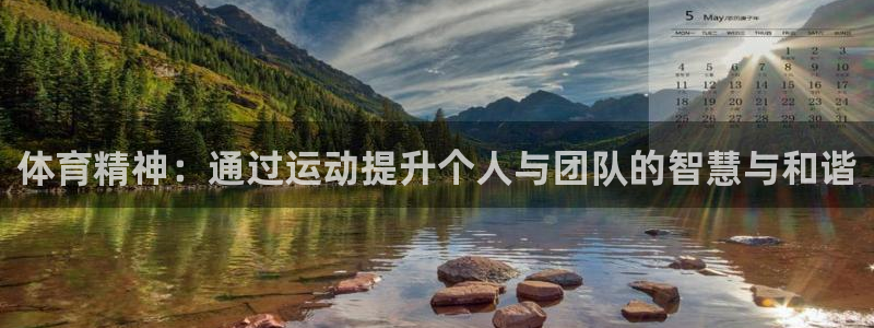 体育精神：通过运动提升个人与团队的智慧与和谐