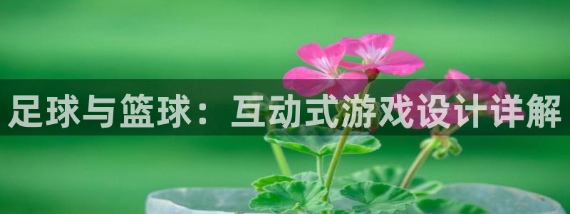 足球与篮球：互动式游戏设计详解