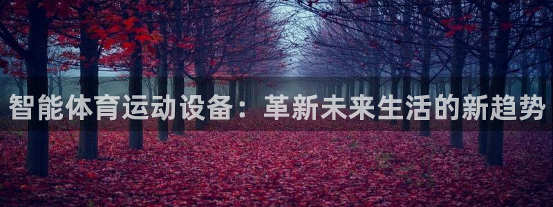 智能体育运动设备：革新未来生活的新趋势