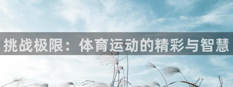 挑战极限：体育运动的精彩与智慧