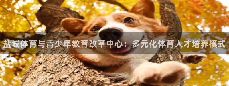 盐城体育与青少年教育改革中心：多元化体育人才培养模式