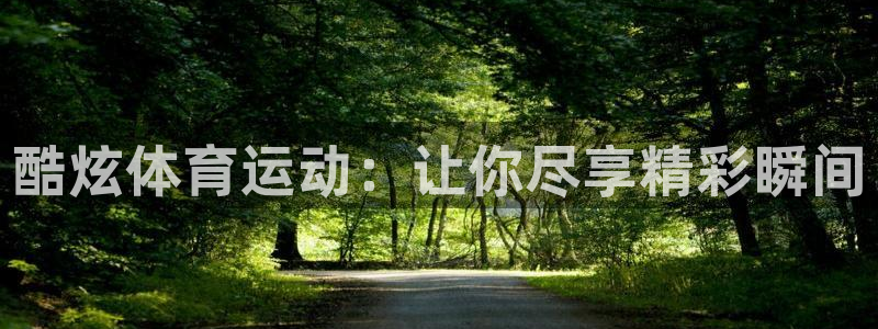 酷炫体育运动：让你尽享精彩瞬间