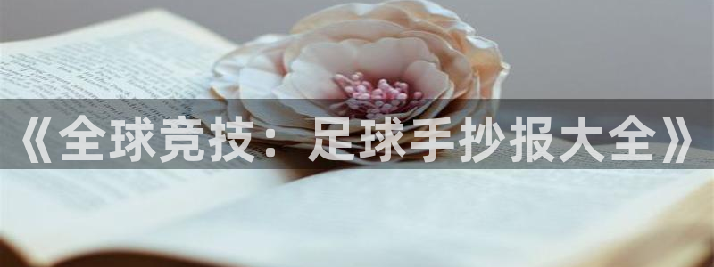 《全球竞技：足球手抄报大全》
