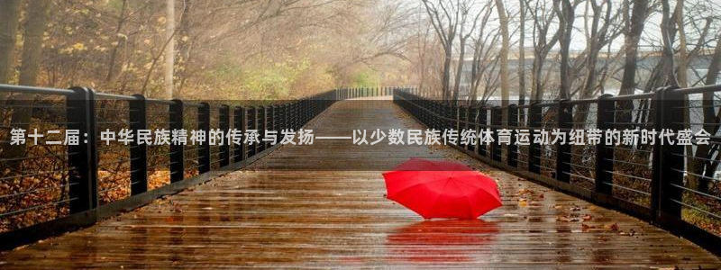 第十二届：中华民族精神的传承与发扬——以少数民族传统体育运动为纽带的新时代盛会