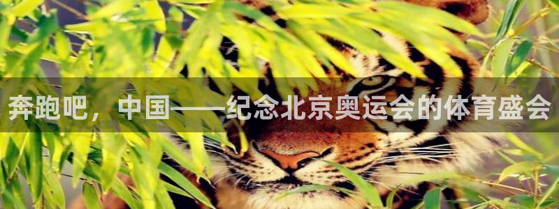 奔跑吧，中国——纪念北京奥运会的体育盛会