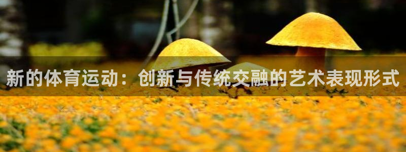 新的体育运动：创新与传统交融的艺术表现形式