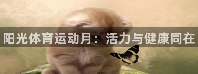 阳光体育运动月：活力与健康同在