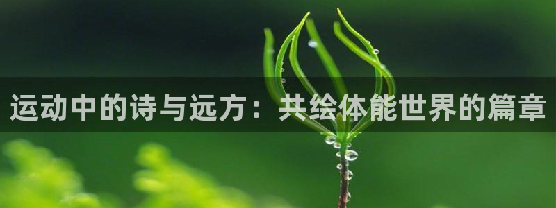 运动中的诗与远方：共绘体能世界的篇章