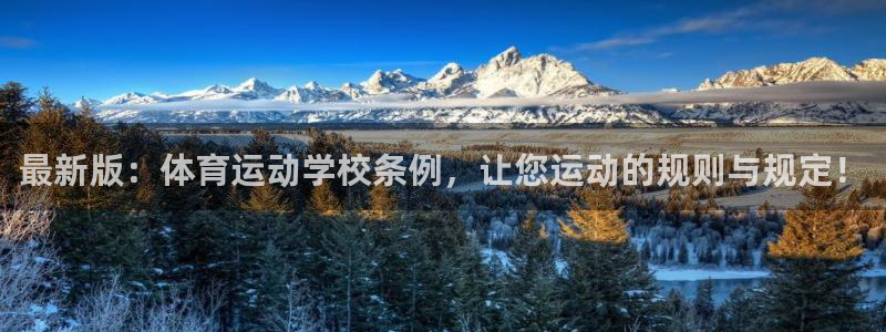 最新版：体育运动学校条例，让您运动的规则与规定！