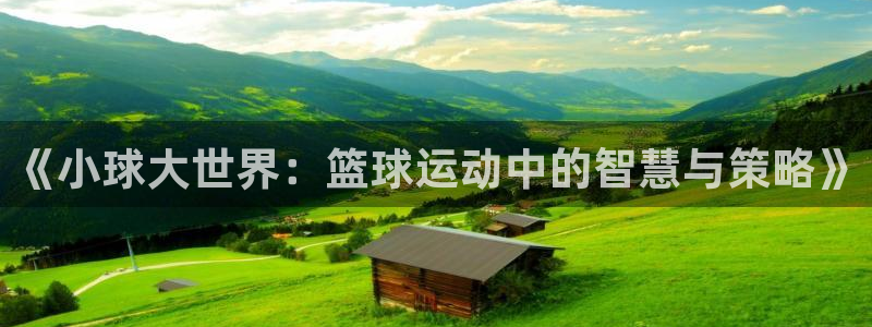 《小球大世界：篮球运动中的智慧与策略》