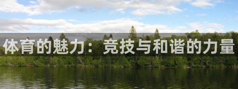 体育的魅力：竞技与和谐的力量