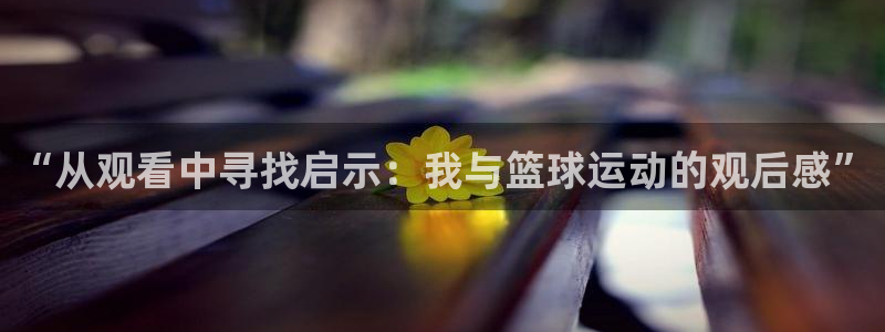 “从观看中寻找启示：我与篮球运动的观后感”