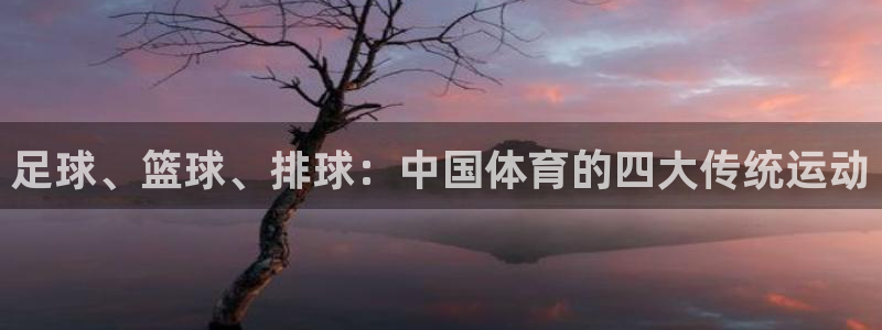 足球、篮球、排球：中国体育的四大传统运动
