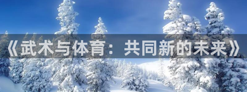 《武术与体育：共同新的未来》